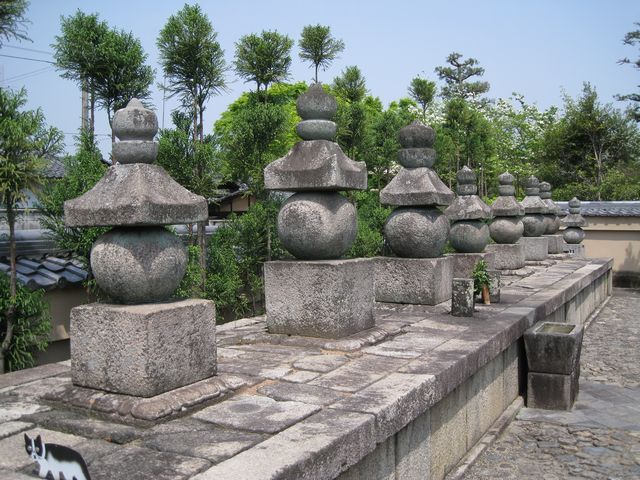 d0037669_2031138.jpg