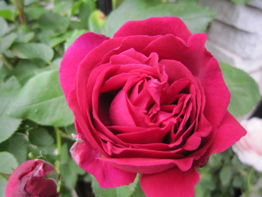 c0202870_8204167.jpg