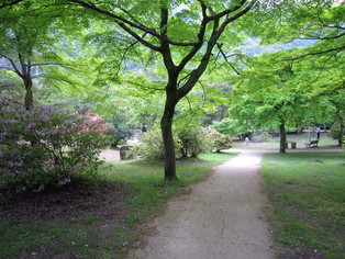 c0224470_18524228.jpg
