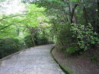 c0224470_18543640.jpg