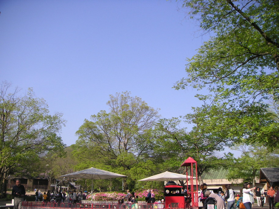 b0175571_14464785.jpg