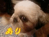 f0213476_3485561.gif