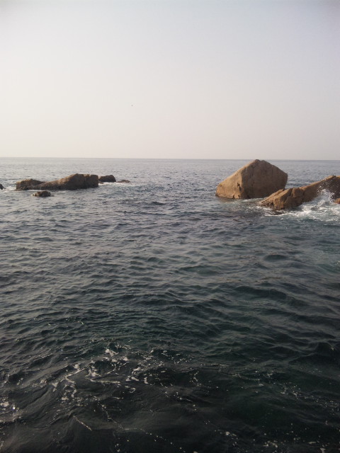 a0120877_8475416.jpg