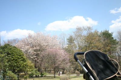 e0114977_2223546.jpg