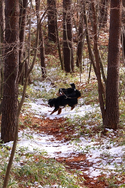 c0149178_18204861.jpg
