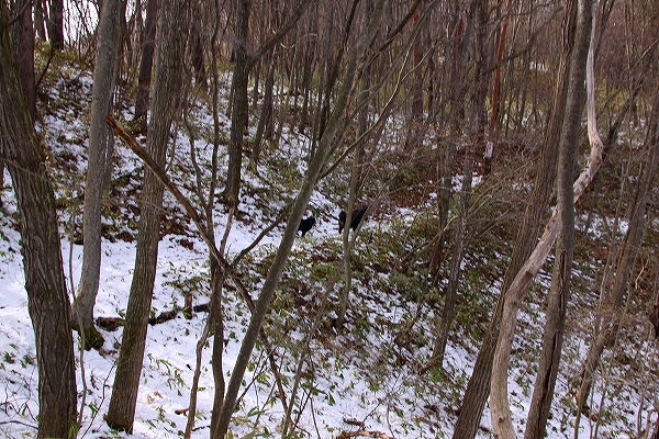 c0149178_18251425.jpg