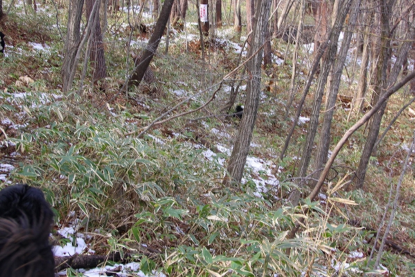 c0149178_18261756.jpg