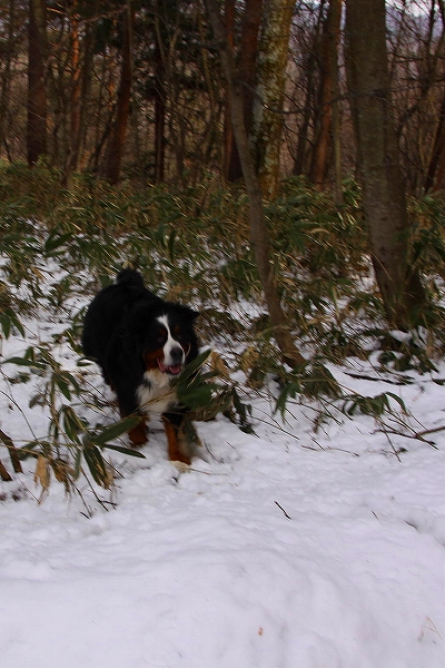 c0149178_18362660.jpg
