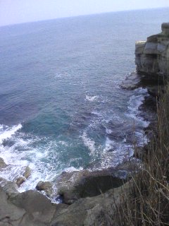 f0001781_144639.jpg