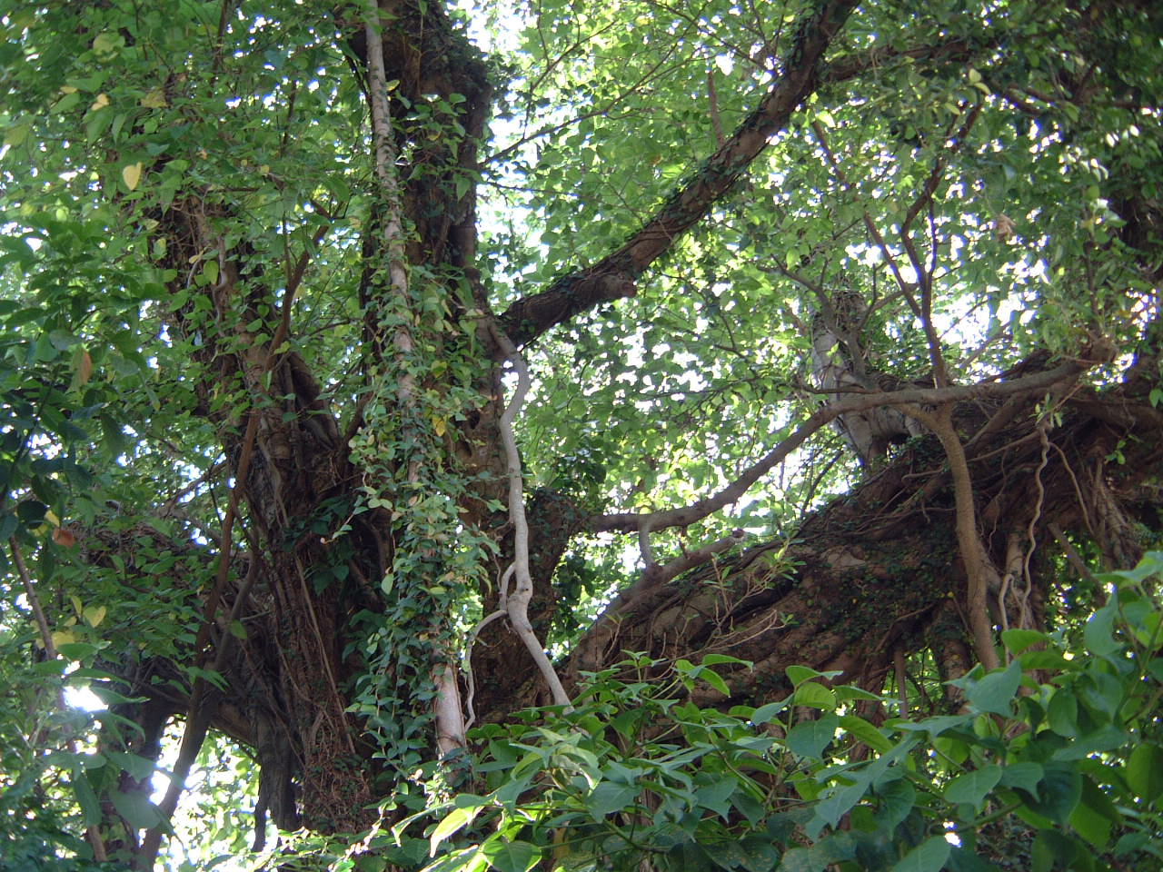f0016981_20284030.jpg