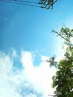 f0016981_20474155.jpg