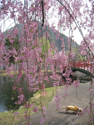 a0038882_9221050.jpg