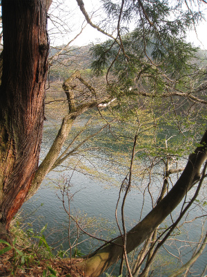 a0038882_9253011.jpg