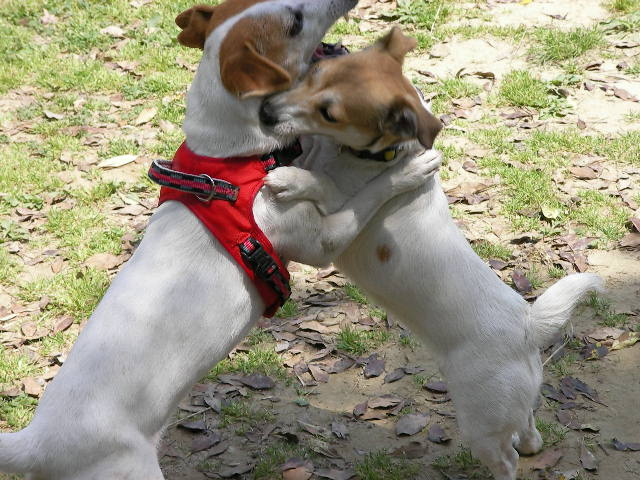 c0214384_20104338.jpg