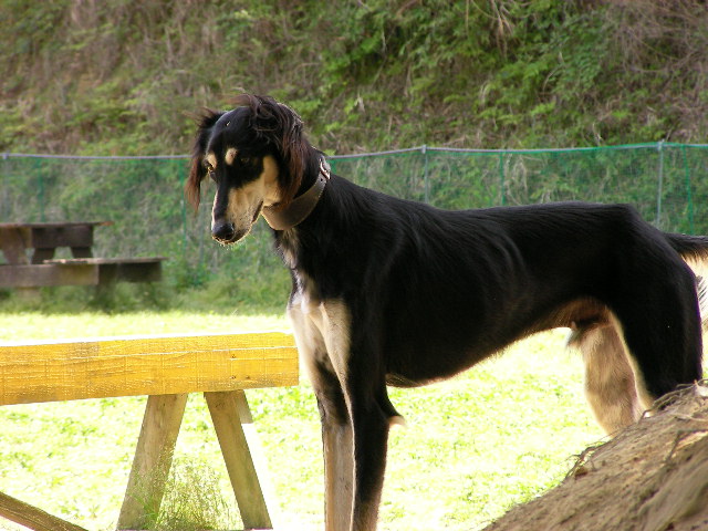 c0214384_202830.jpg