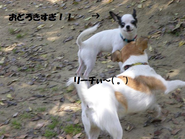 c0214384_2057159.jpg