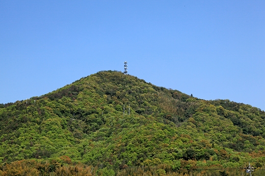 e0190885_2082829.jpg