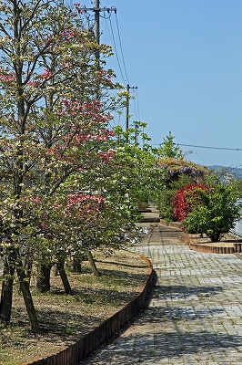 e0190885_2084537.jpg