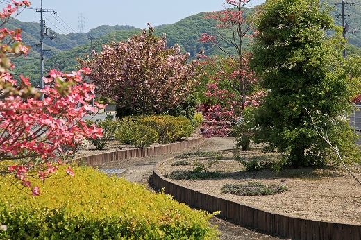 e0190885_2085027.jpg
