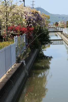 e0190885_2095477.jpg
