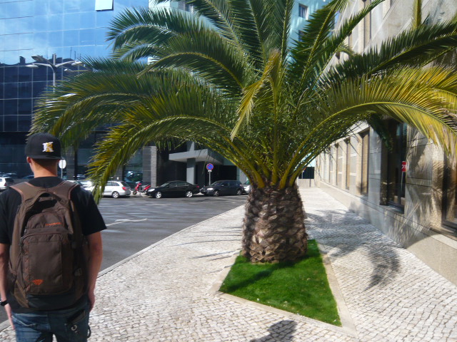 c0112286_4242337.jpg