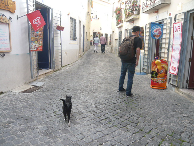 c0112286_433231.jpg