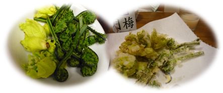 c0073987_1565690.jpg