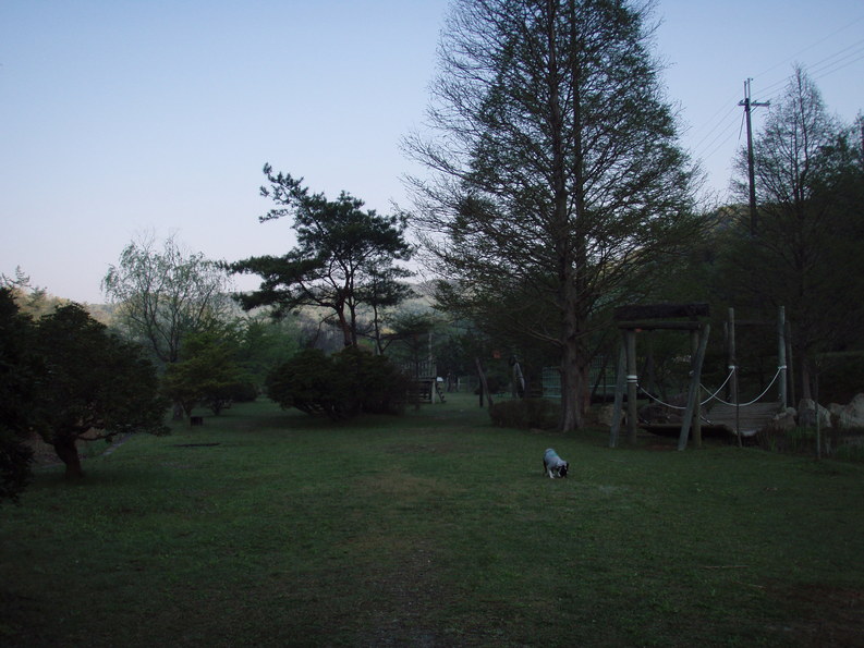 c0092787_10235110.jpg