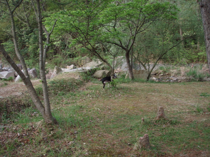 c0092787_10405662.jpg