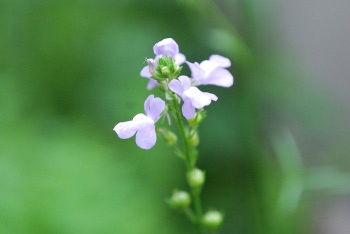 c0132387_214485.jpg