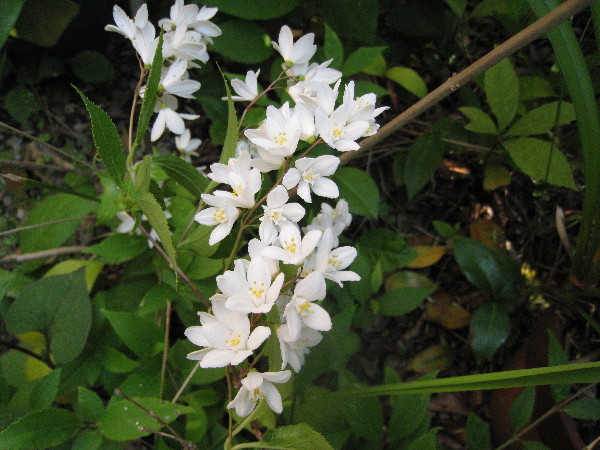 c0132387_2175563.jpg