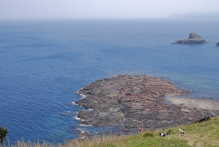f0112087_23321383.jpg