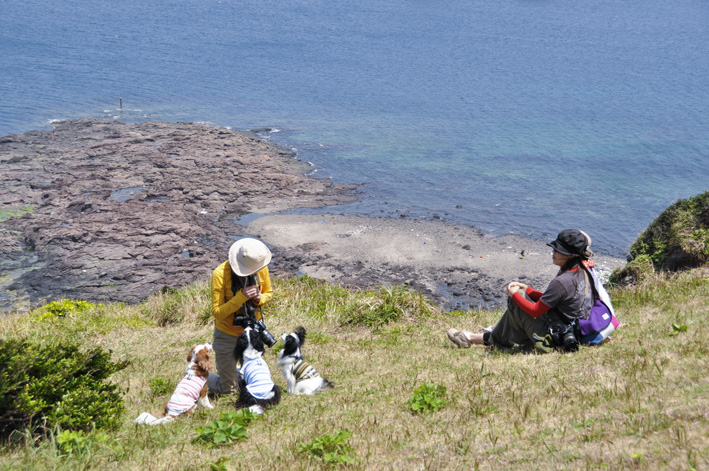 f0112087_23323364.jpg