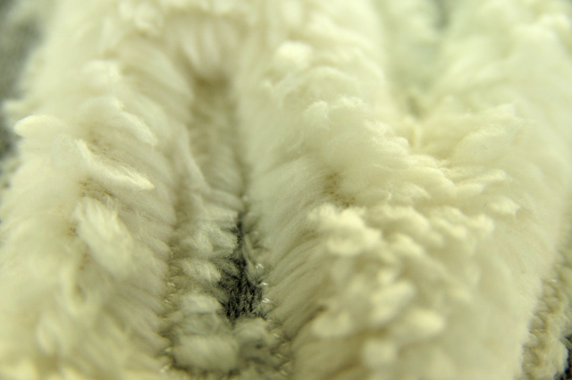 d0061489_20494578.jpg