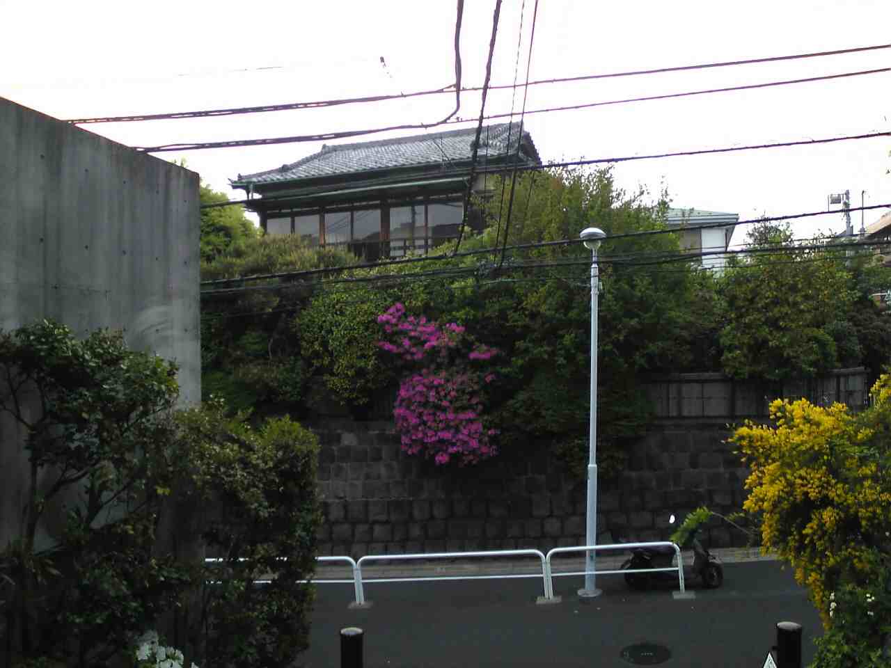 f0109989_2334128.jpg
