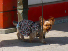 a0079292_1692484.jpg