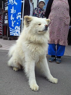 f0230992_1014650.jpg