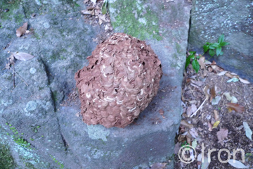 c0173794_2017138.jpg