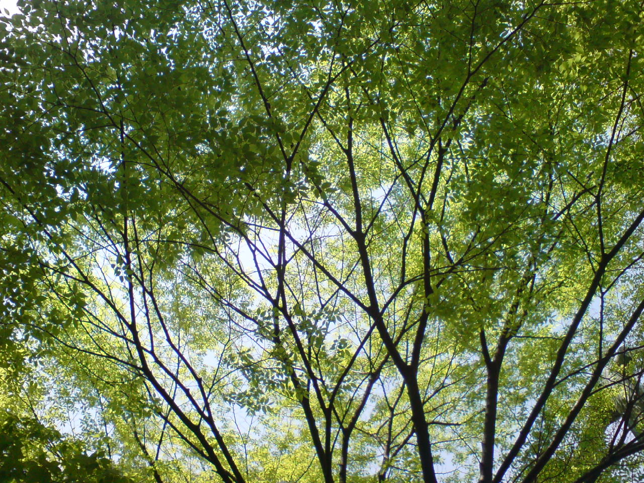 f0098094_21425878.jpg
