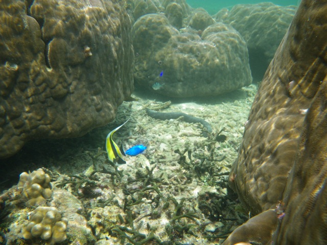 c0193396_10523975.jpg