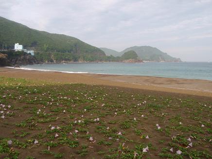 a0125598_22161043.jpg