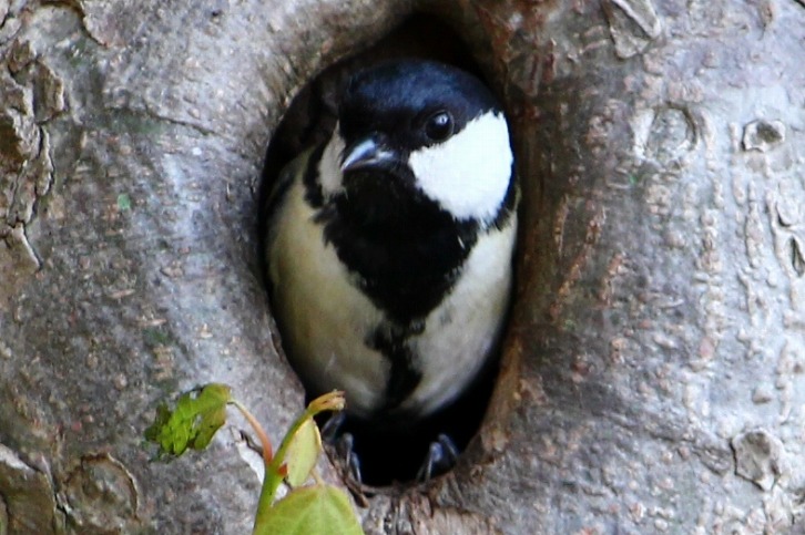 c0204298_2111051.jpg