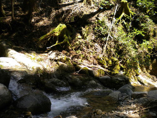e0179098_14242123.jpg