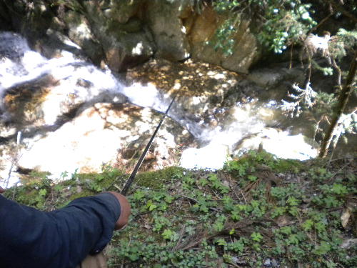 e0179098_14245741.jpg