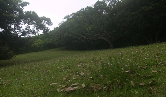 e0089001_22591015.jpg