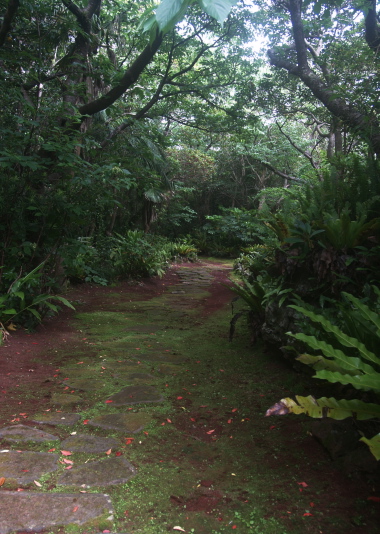 e0089001_23124260.jpg