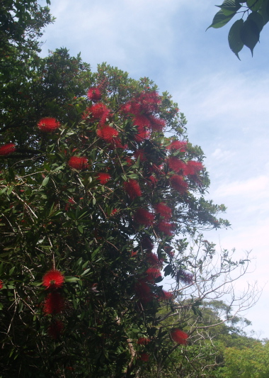e0089001_23184015.jpg