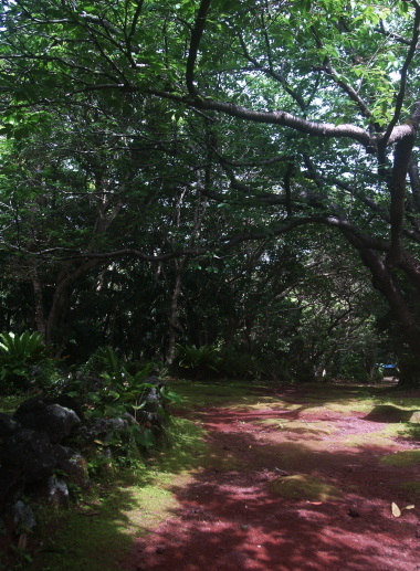 e0089001_2321652.jpg