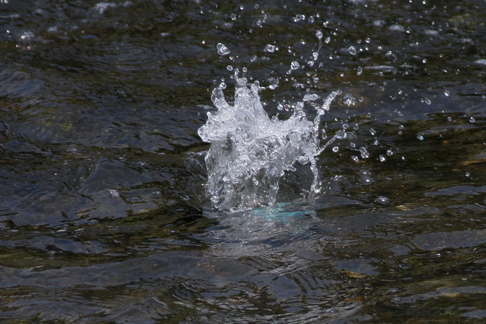 f0095702_19501555.jpg