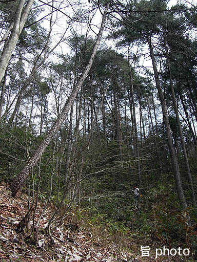 b0061004_2373927.jpg
